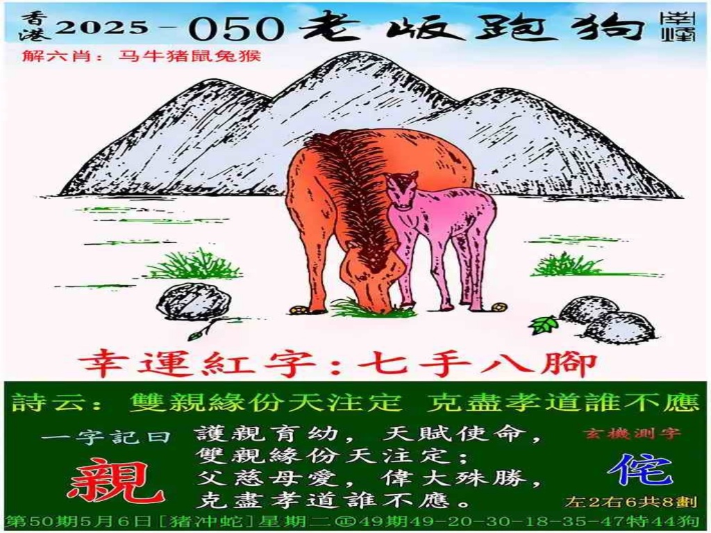 p8.jpg